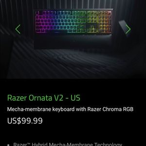 Razer Ornata v2 chroma and TP-Link AC1300 wifi